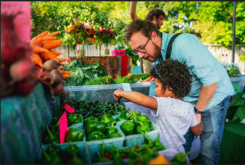 Farmers Markets 